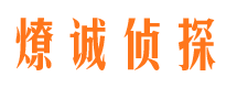 嘉禾市私家侦探